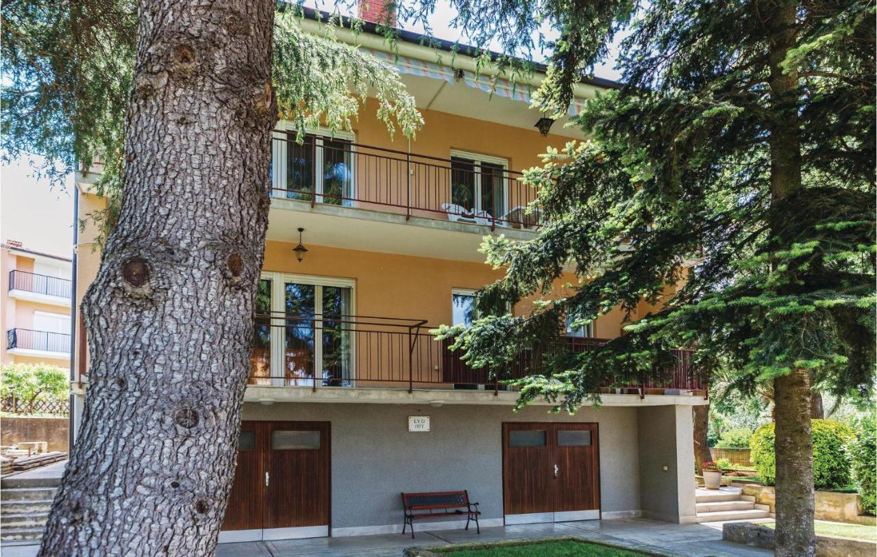 Apartment Amazing In With Wifi