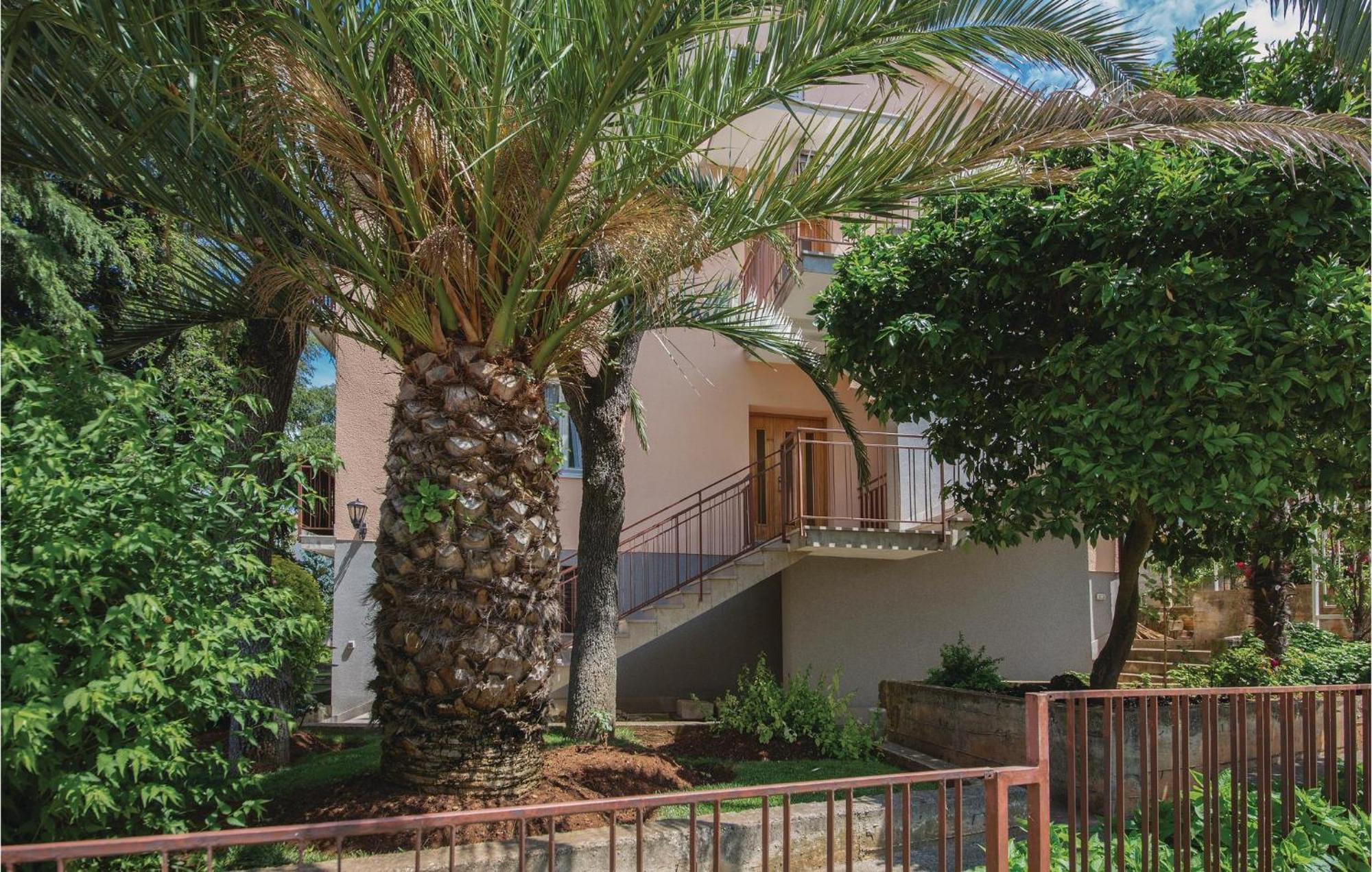 Apartment Amazing In With Wifi *
